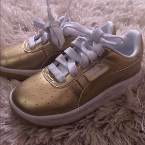 Gold Pumas